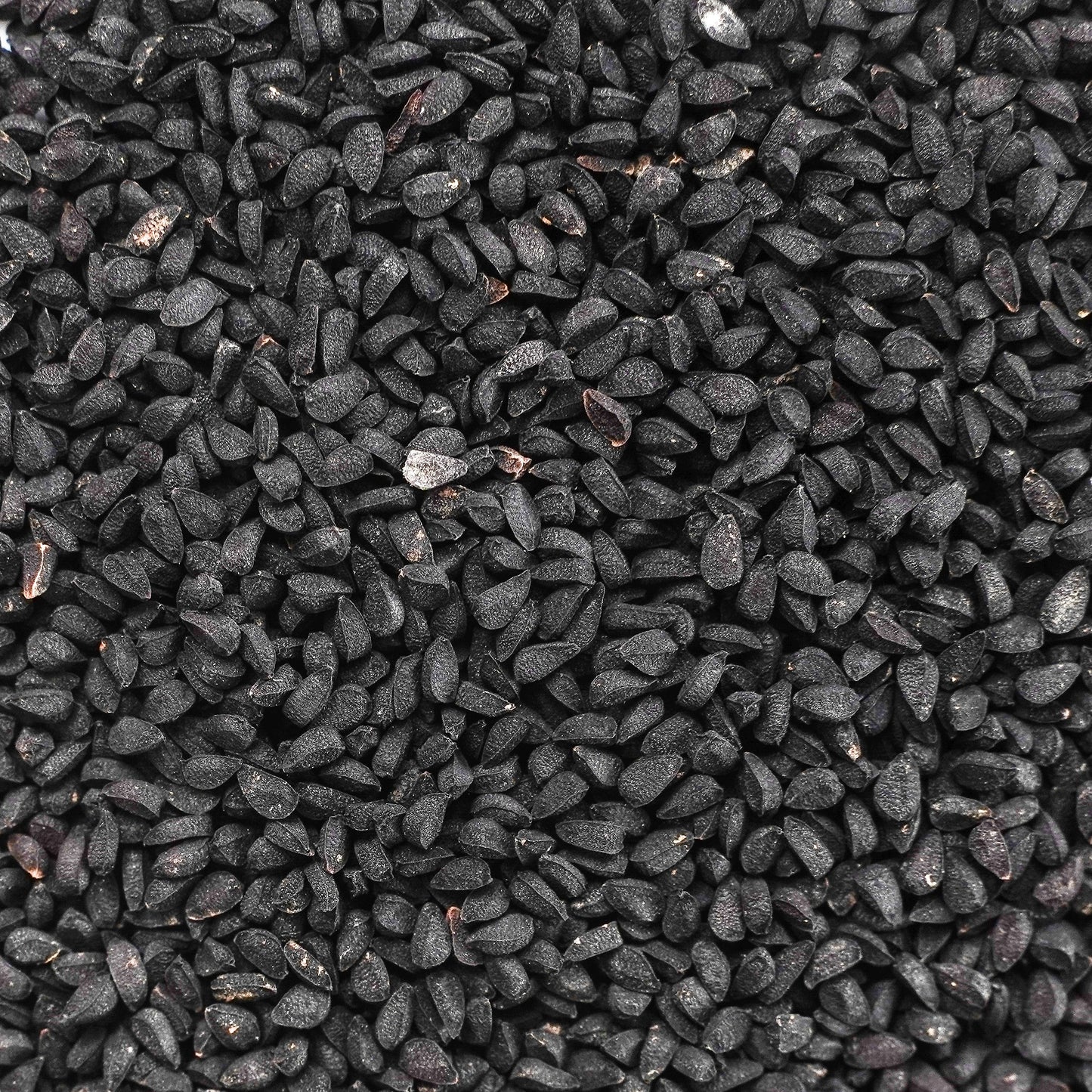 Black Cumin from West Bengal