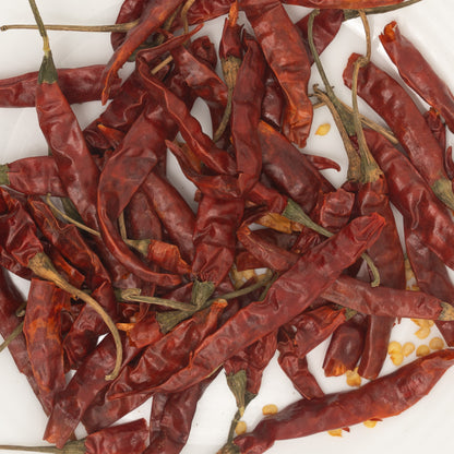 Dried Red Chilli from Gujarat